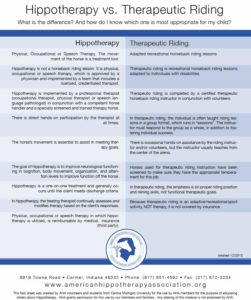 hippotherapy compared to therapeutic riding